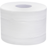 Купить бумага туалетная 2-сл h110 d160 мм 120 м/рул 686 лист/рул point с центр вытяжением с тиснением и перфорацией целлюлоза "focus" в Москве