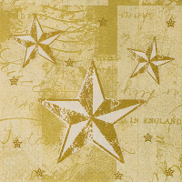 Купить салфетка бумажная 3-сл 25х25 см 50 лист звёзды победы с дизайном "papstar" в Москве