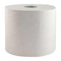 Купить полотенце бумажное 2-сл h240 d300 мм 350 м в рулоне белое целлюлоза "protissue" в Москве